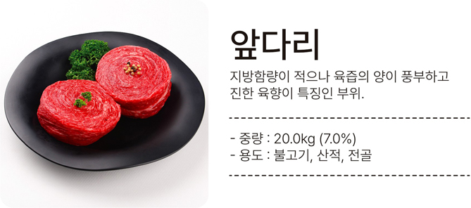 앞다리