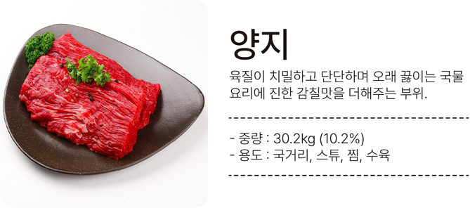 양지