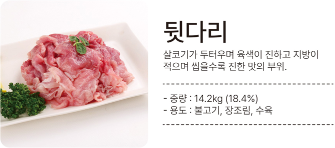 뒷다리