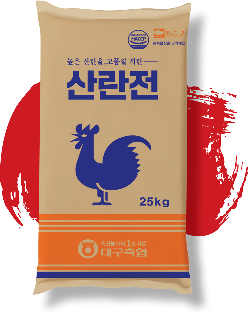 산란전