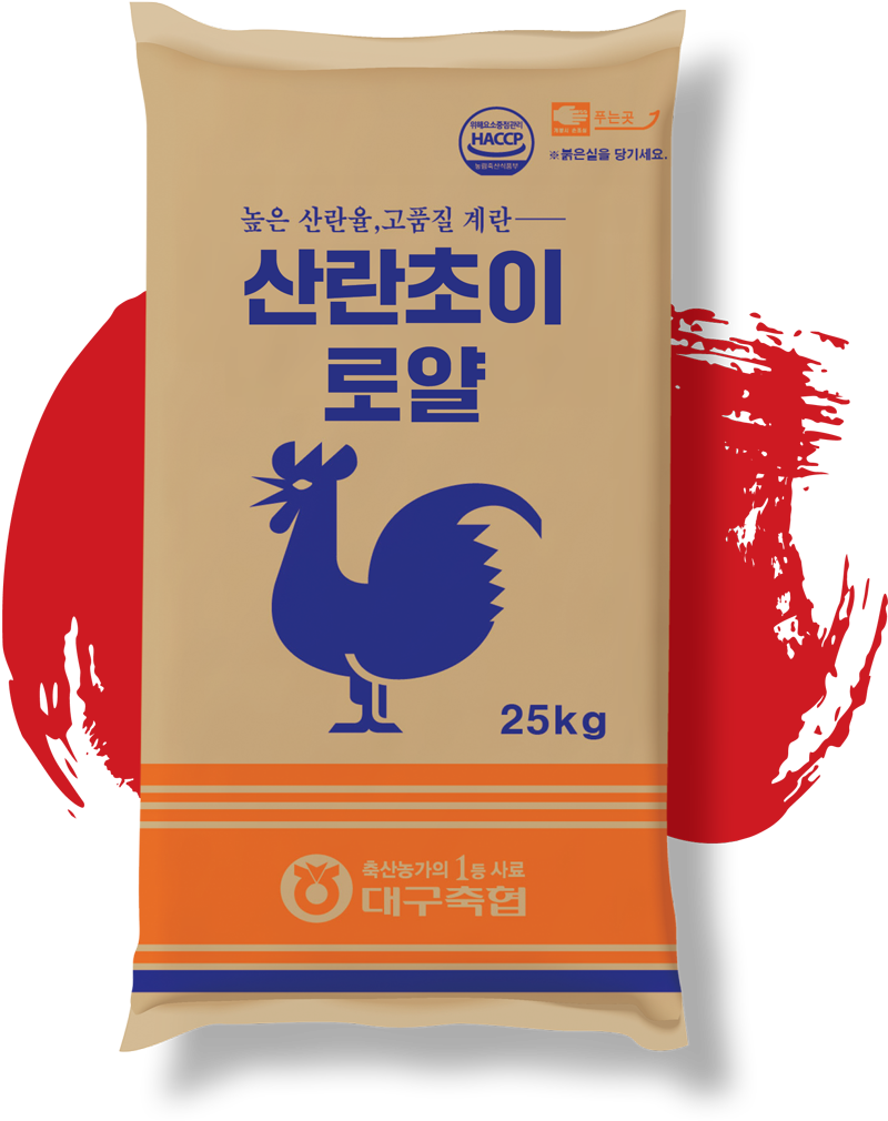 산란초이로얄