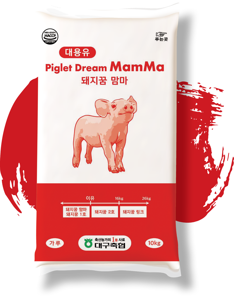 돼지꿈 맘마