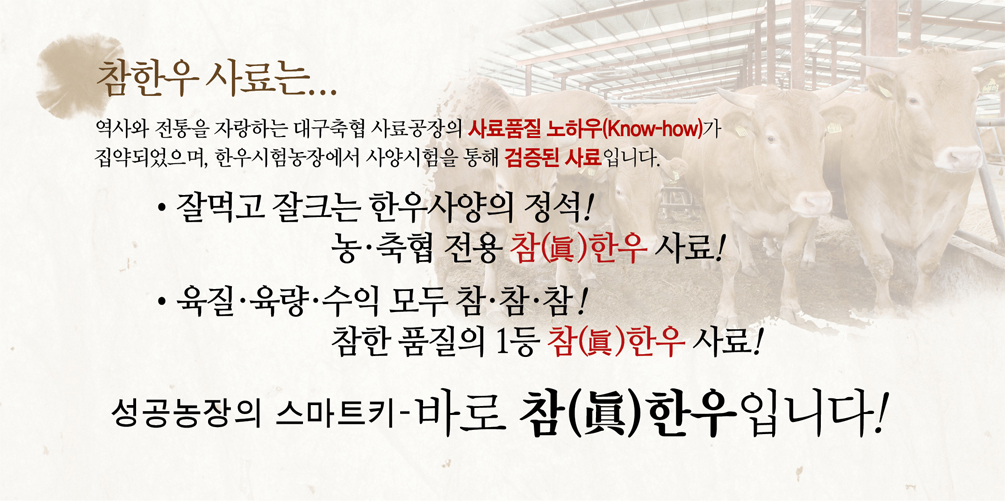 참한우